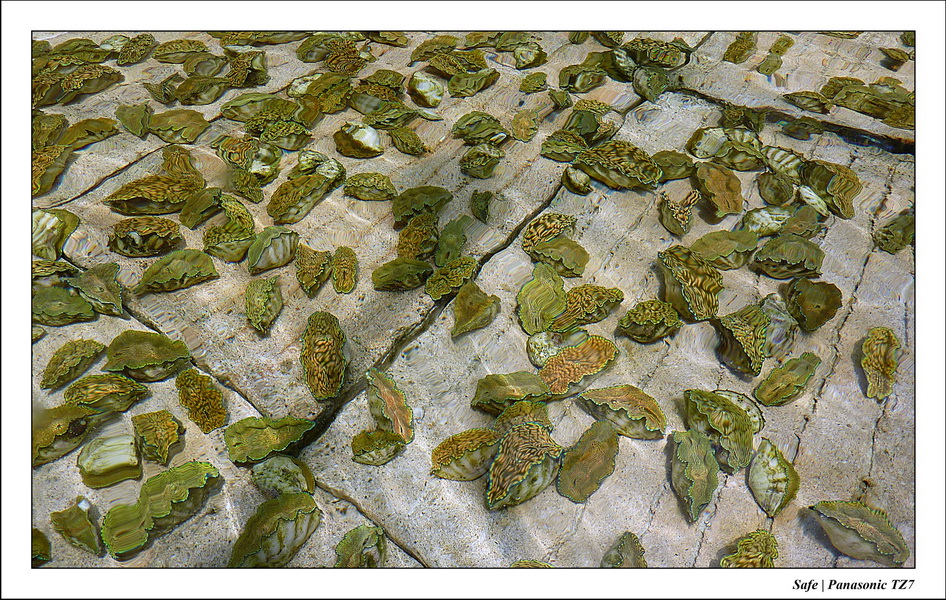 2011 - 08 - Bohey Dulang Island 35